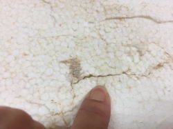 �G�|�L�V Firewire �e�B���o�[�e�b�N 49_8